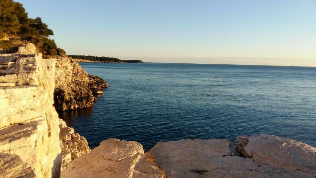 Apartment Vilic Πούλα Εξωτερικό φωτογραφία