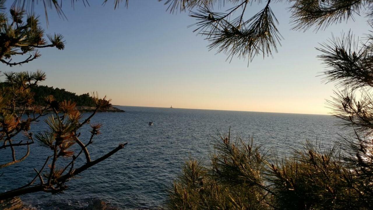 Apartment Vilic Πούλα Εξωτερικό φωτογραφία